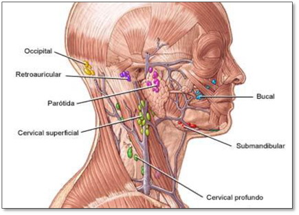 Fig. 11.jpg