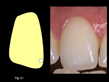 Diapositiva21.gif