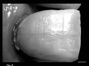 Diapositiva8.gif