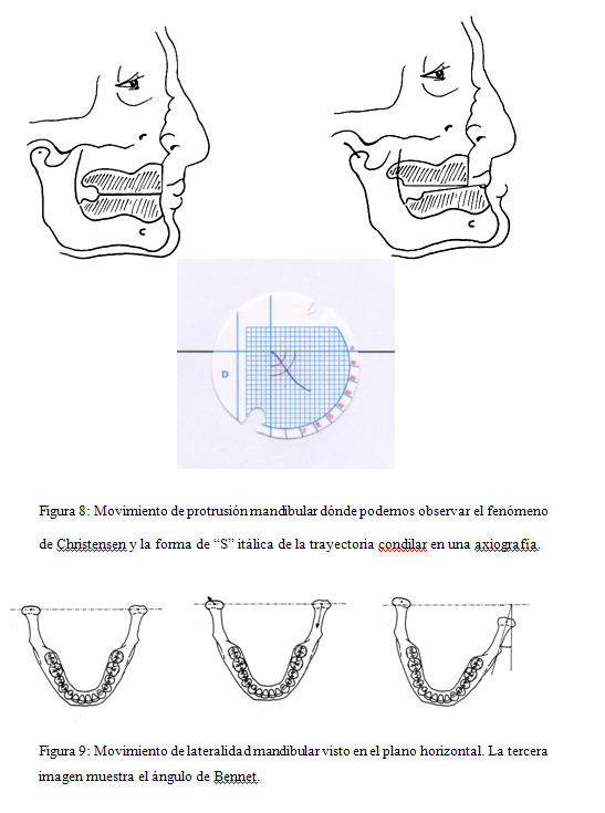 imagen5.jpg