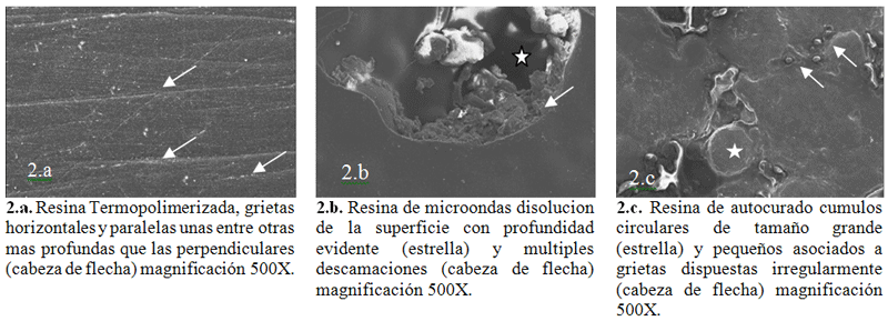 tesina2.gif